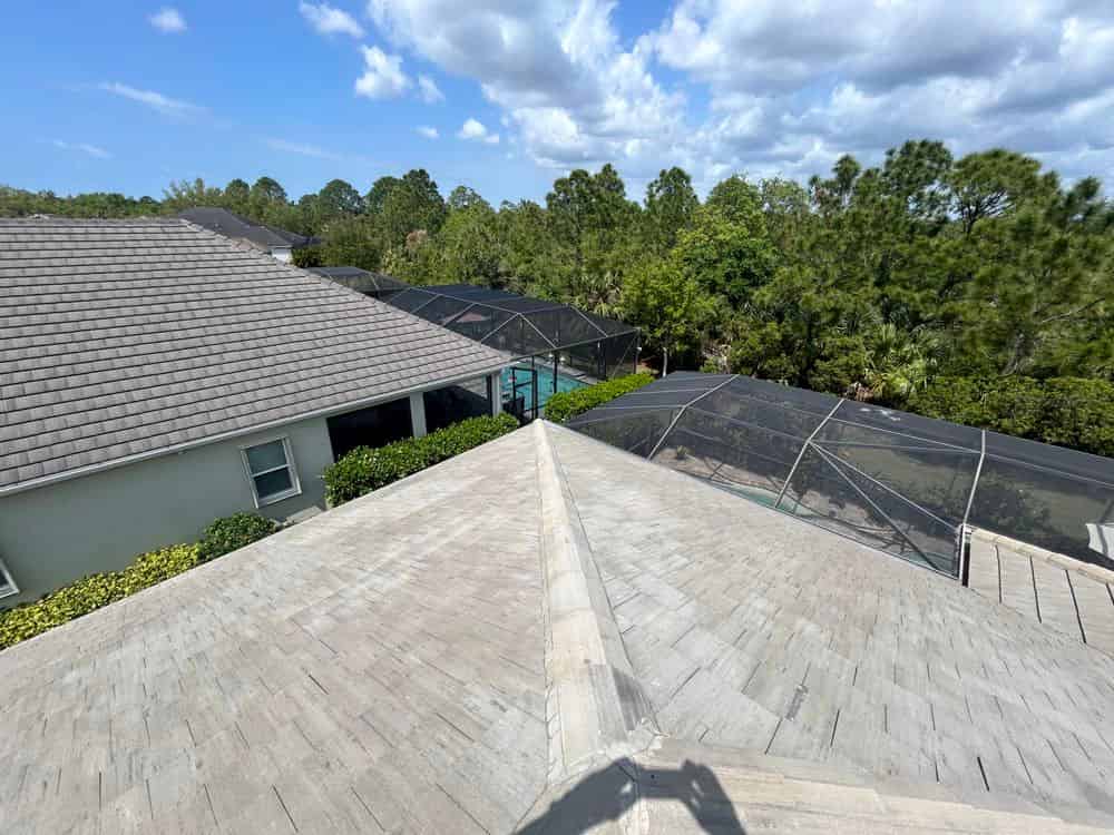 Roof Soft Washing image